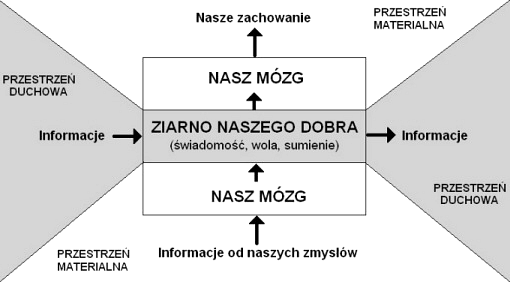 Mózg - świadomość, wola, sumienie